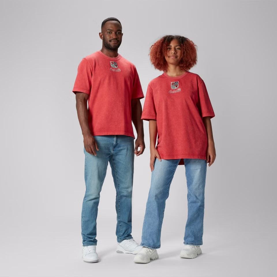 Grootste collectie British & Irish Lions - Check hier de collectie