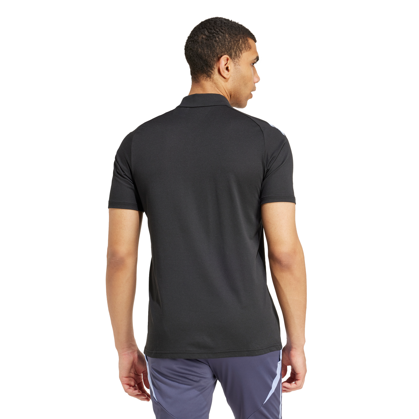 All Blacks Rugby Polo Heren Blue Spark