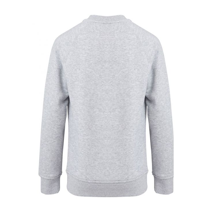 Canterbury Ierland Sweater Grijs