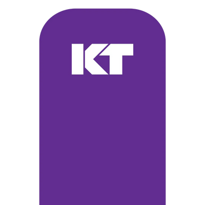 KT Tape Original Voorgesneden (5 x 25 cm) – 20 stuks – 5 meter