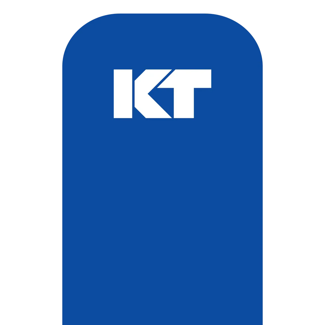 KT Tape Original Voorgesneden (5 x 25 cm) – 20 stuks – 5 meter