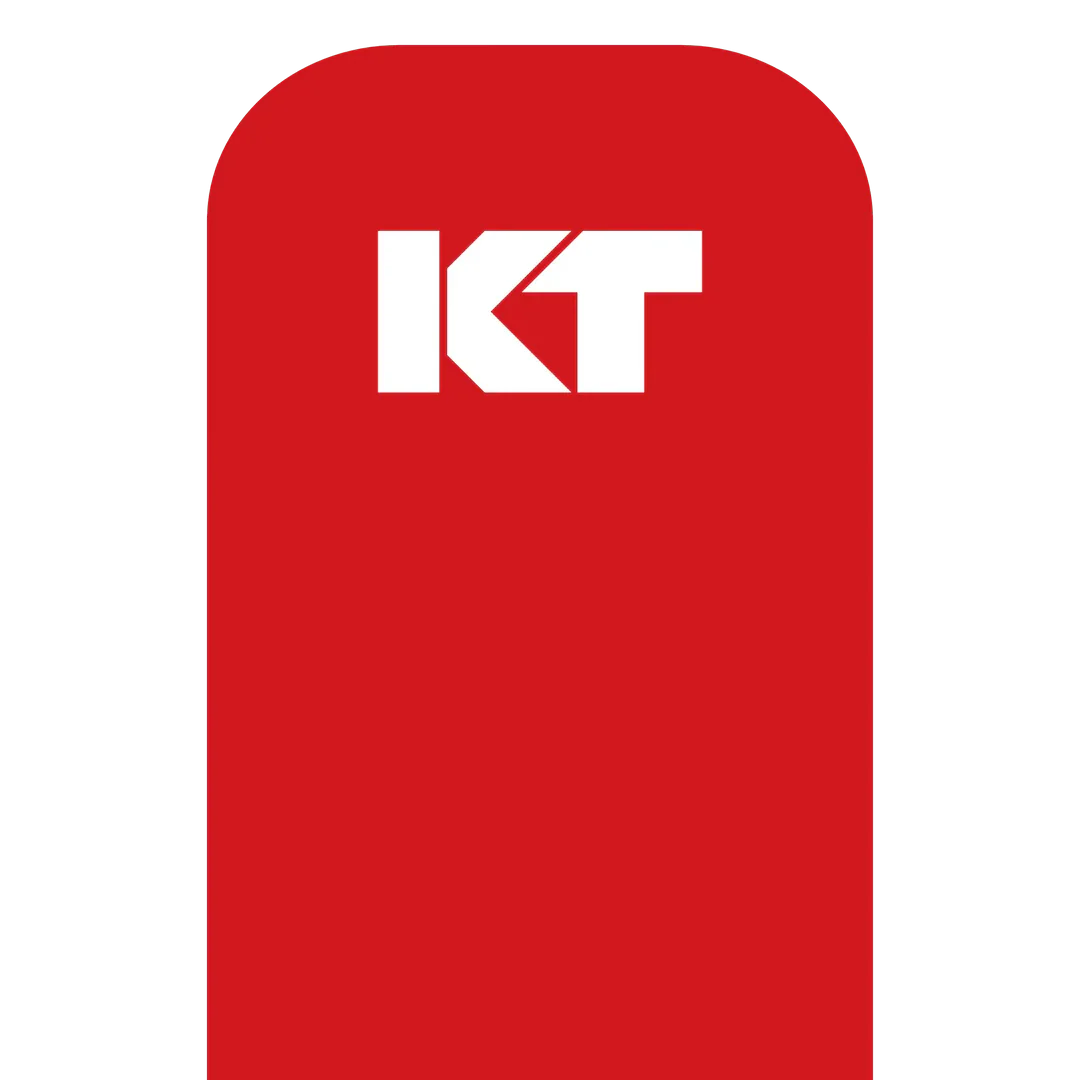 KT Tape Original Voorgesneden (5 x 25 cm) – 20 stuks – 5 meter