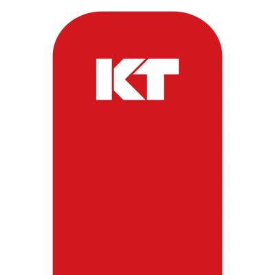KT Tape Original Voorgesneden (5 x 25 cm) – 20 stuks – 5 meter